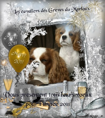 des Greves du Marloux - BONNE ANNEE !!!