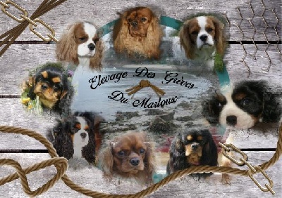 des Greves du Marloux - Merci Valérie !!!