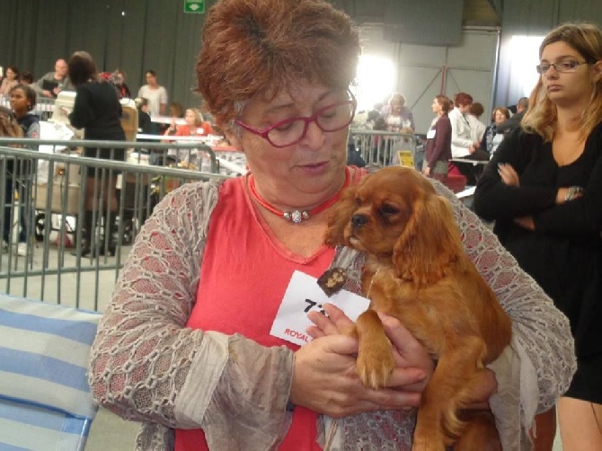 SPECIALE DE RACE DE PONTOISE