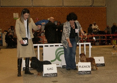des Greves du Marloux - RESULTATS D'EXPOSITION
