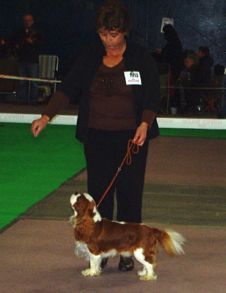 EN EXPOSITION