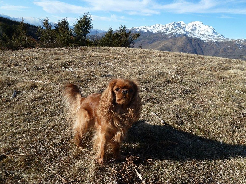 EVA LUNA DES GREVES DU MARLOUX